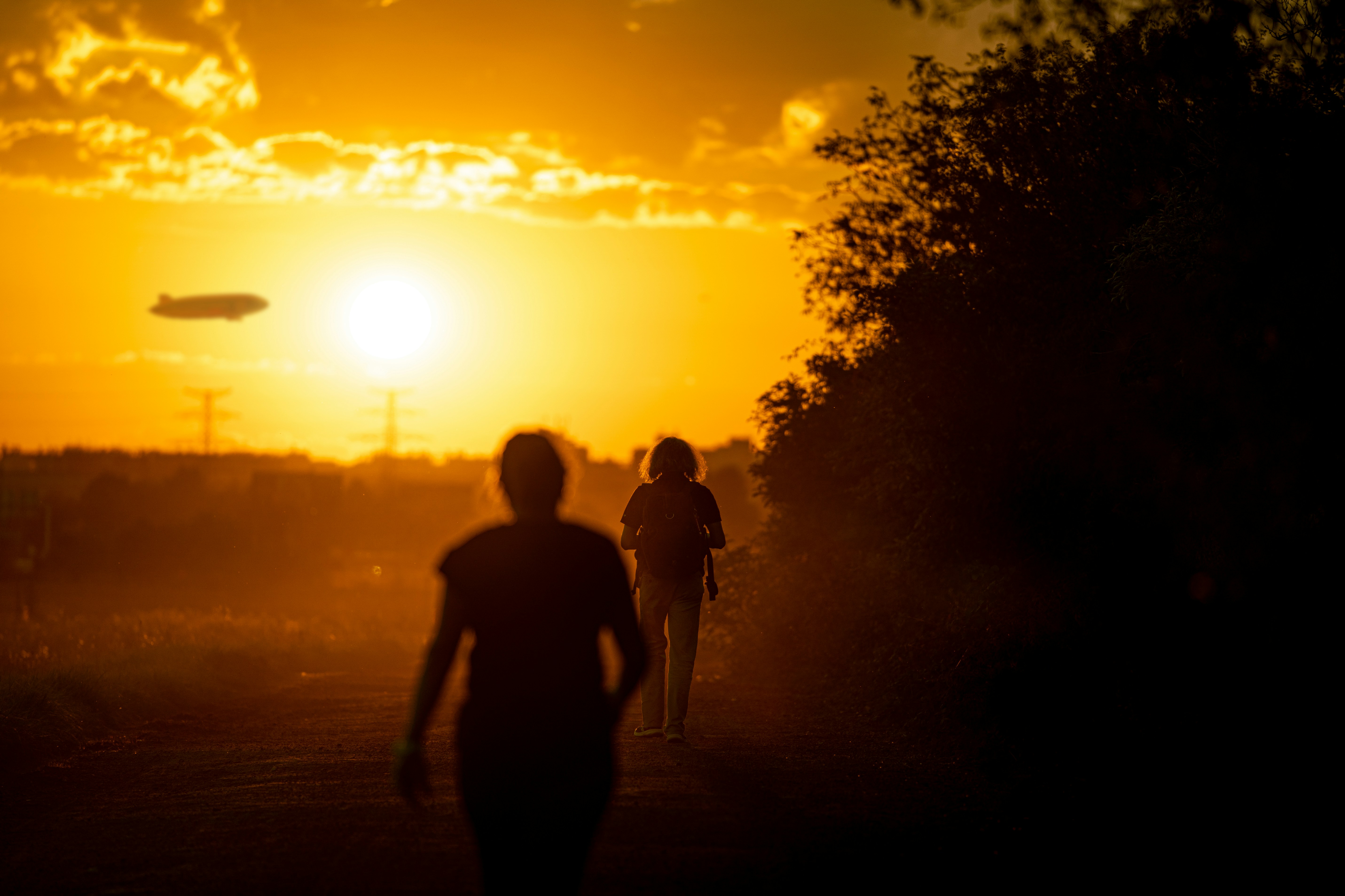 Evolutionary Pressure: How Sunlight Shaped Human Migration (image credits: unsplash)