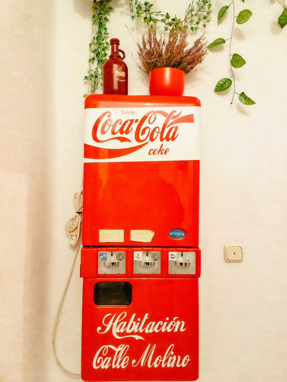 a coca - cola machine with a plant on top of it