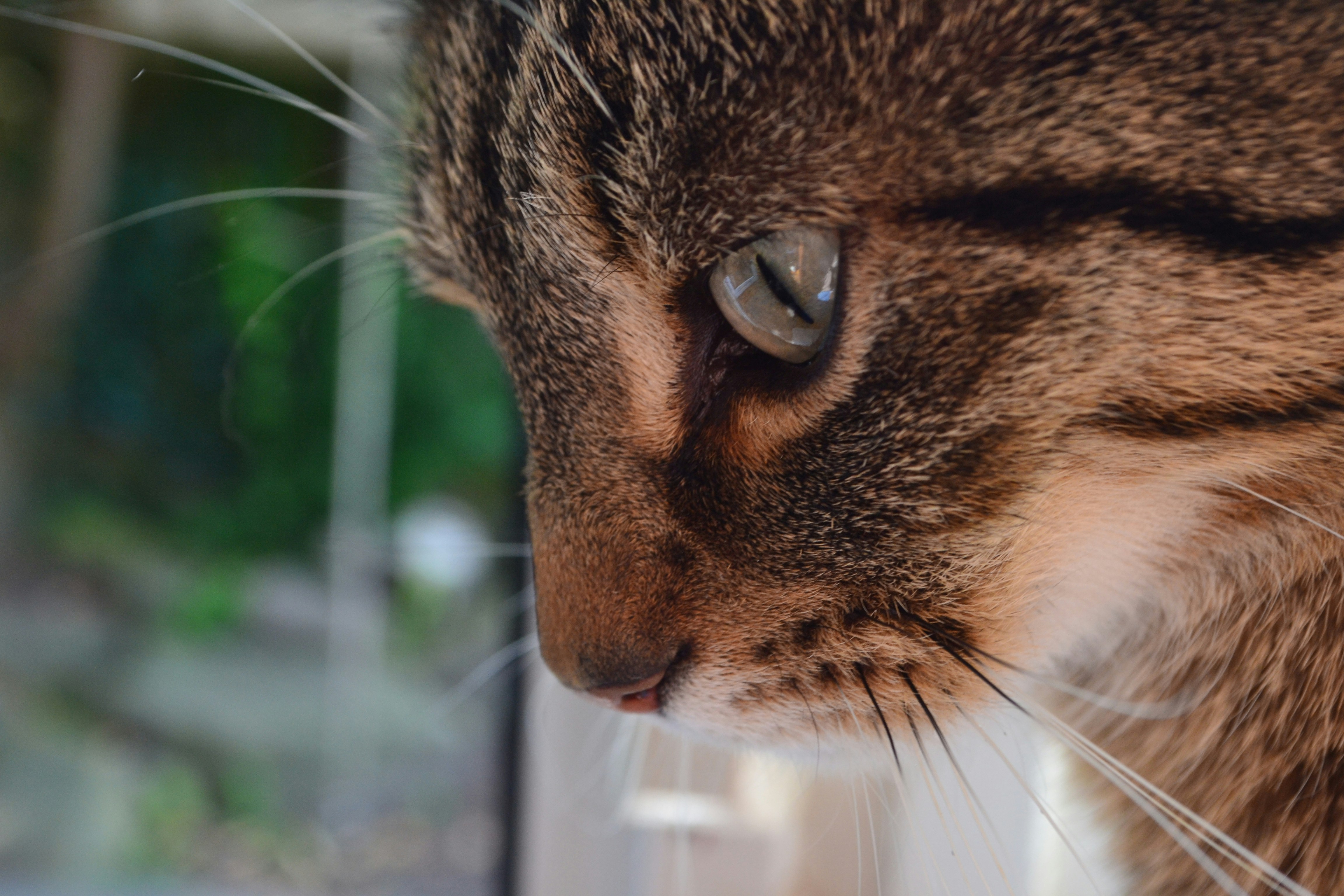 Photo by grace_photography01