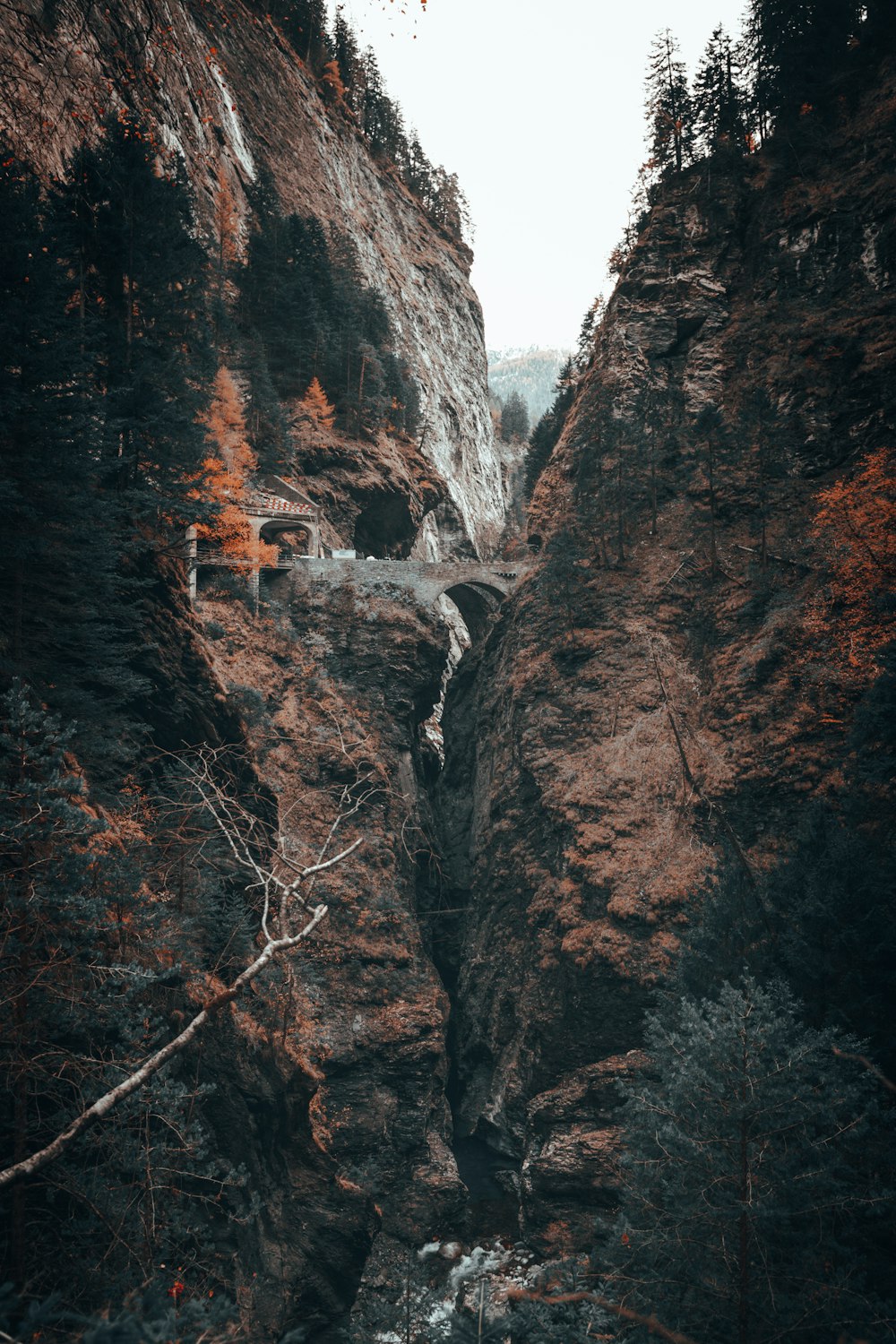 a narrow canyon with a bridge in the middle of it