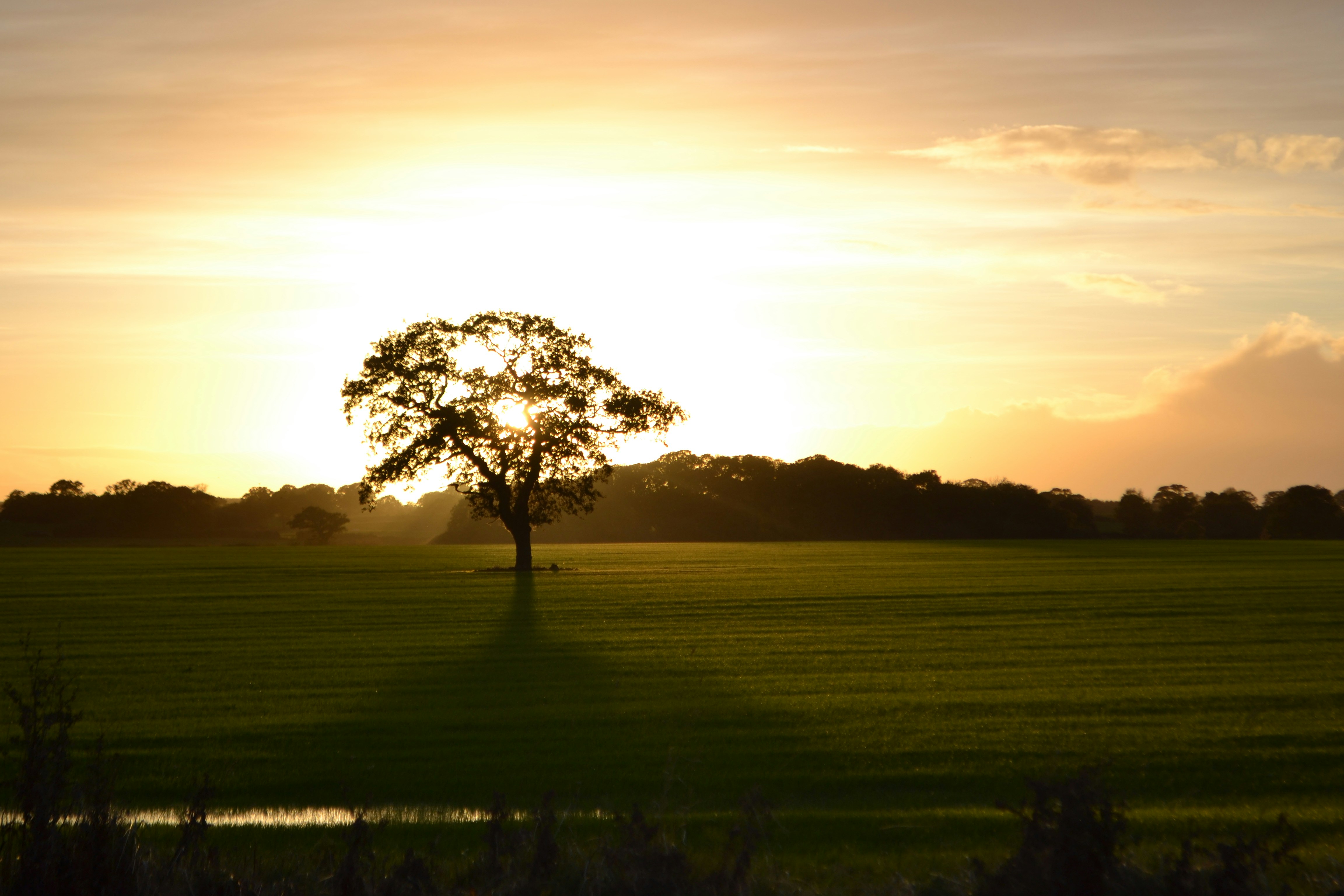 Photo by grace_photography01