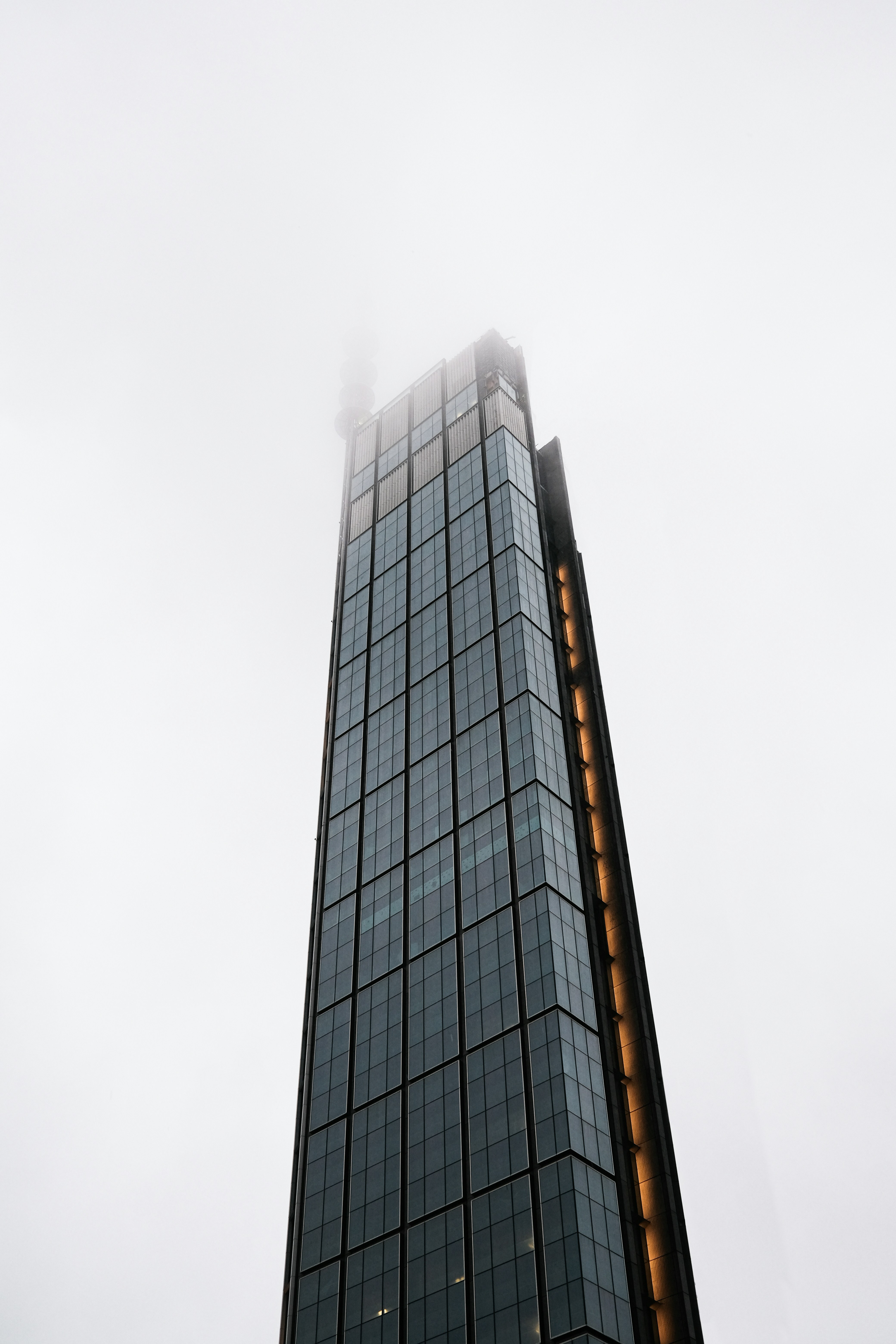 Photo by stereosonya