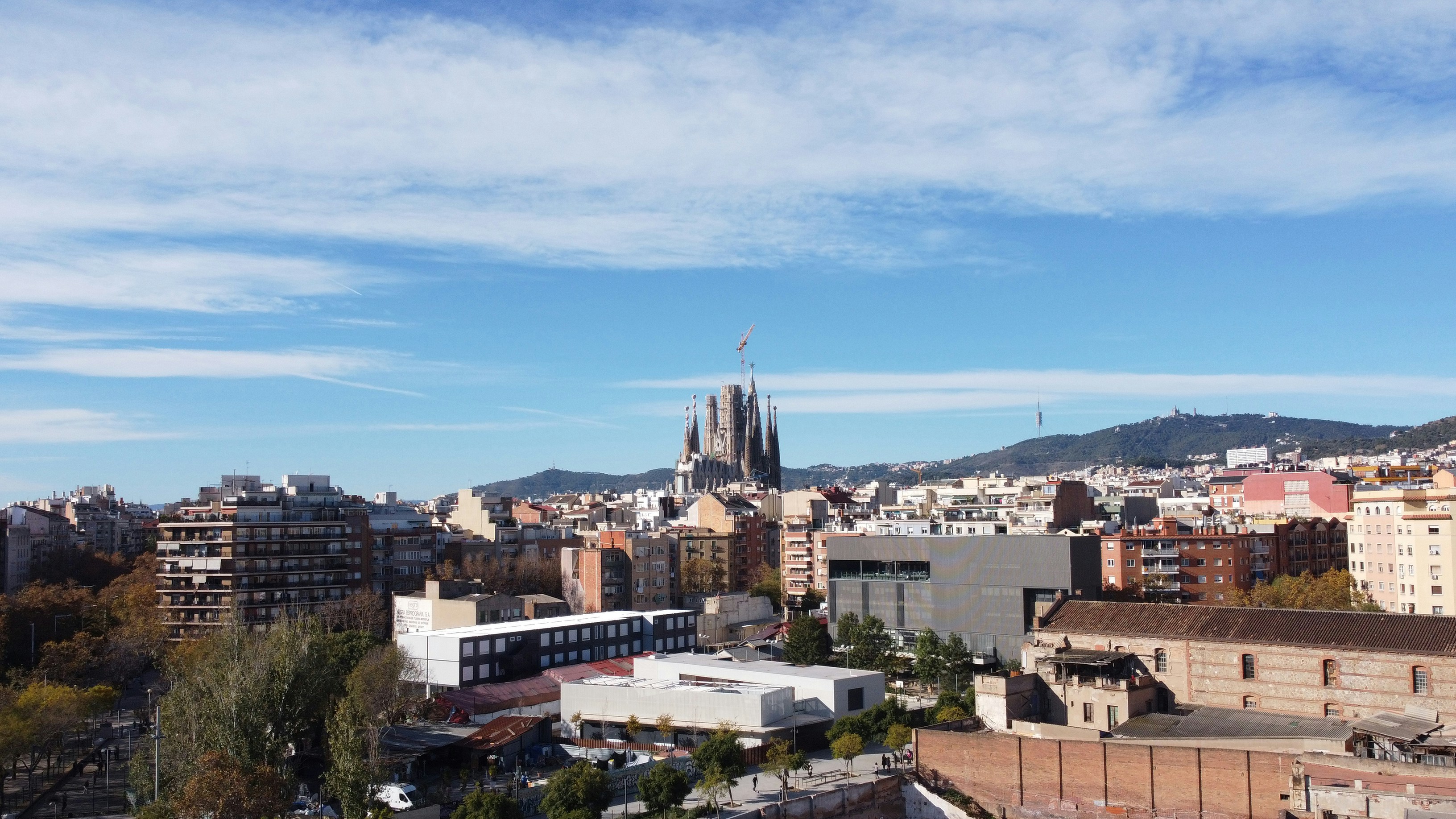 Mejores 15 empresas de inteligencia artificial en Cáceres