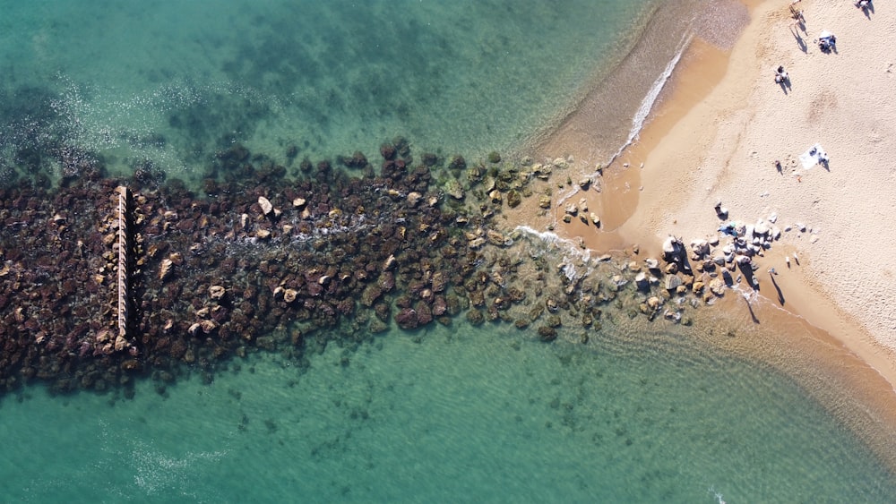 a bird's eye view of a beach and water