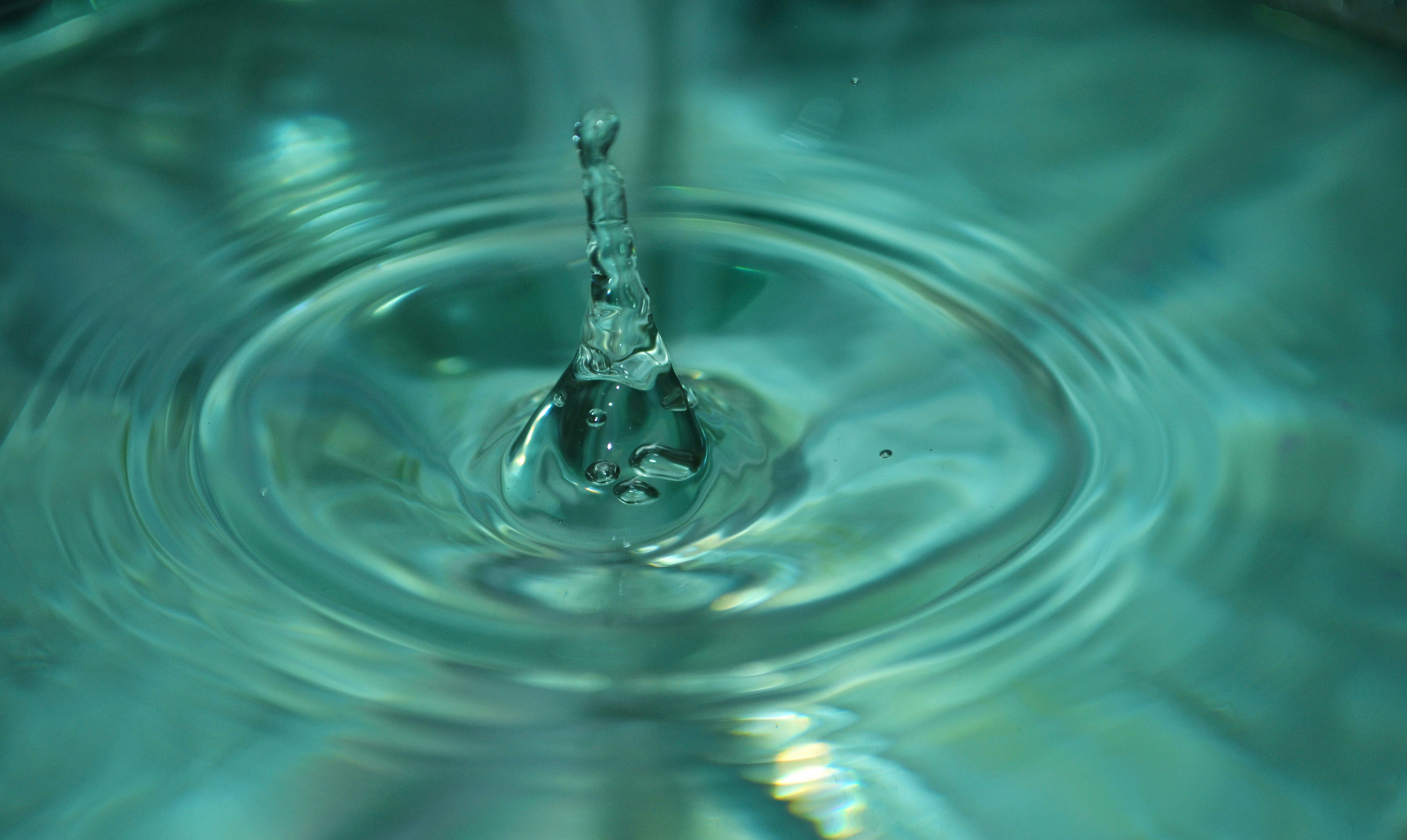 Photo by grace_photography01