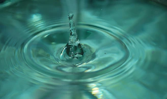 a close up of a water drop in a bowl