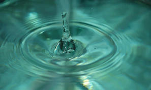 a close up of a water drop in a bowl