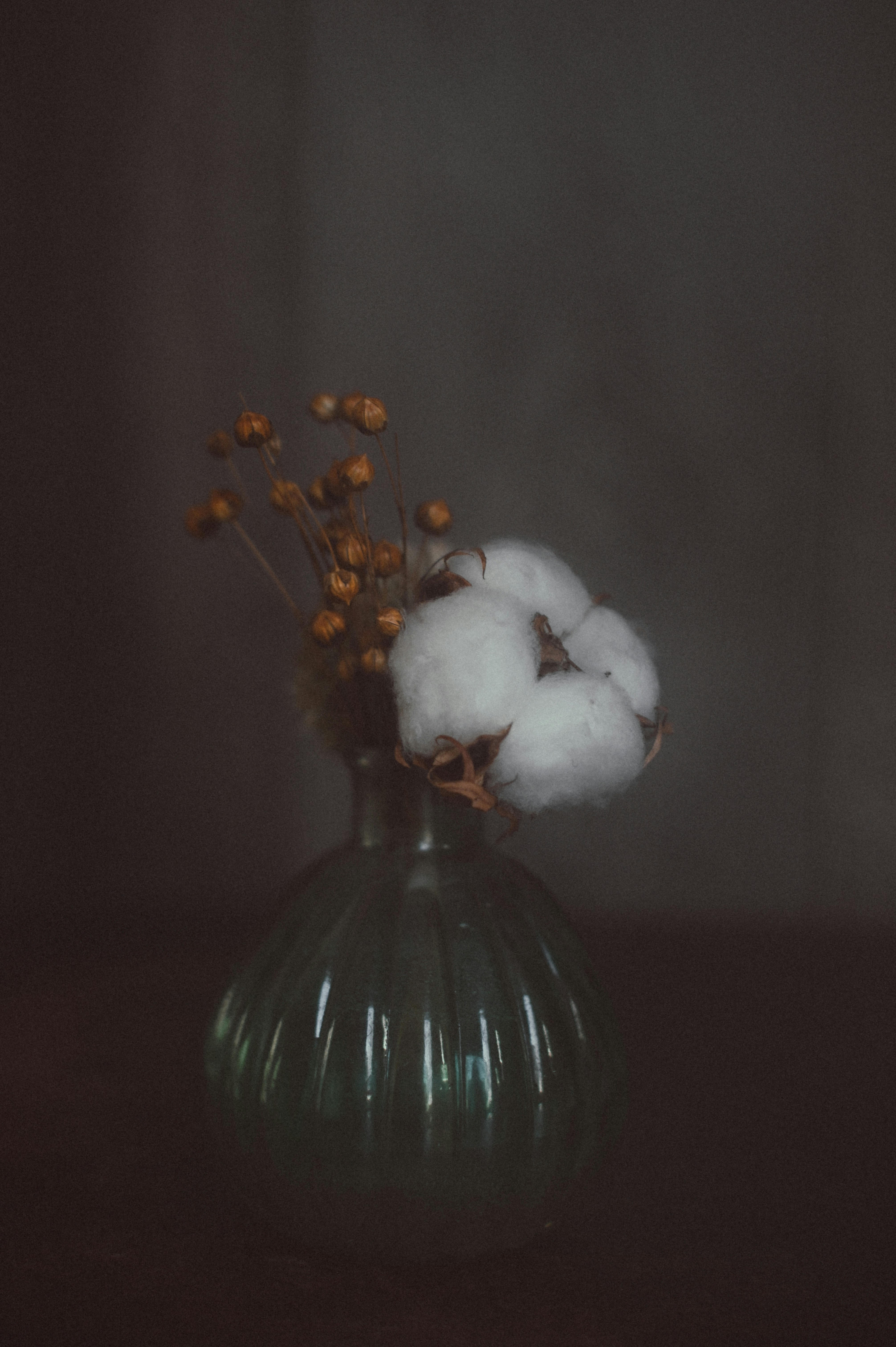 Photo by gaellemarcel