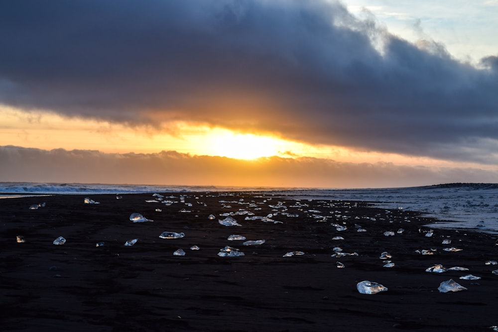 El sol se está poniendo sobre el océano con muchas gaviotas en la playa