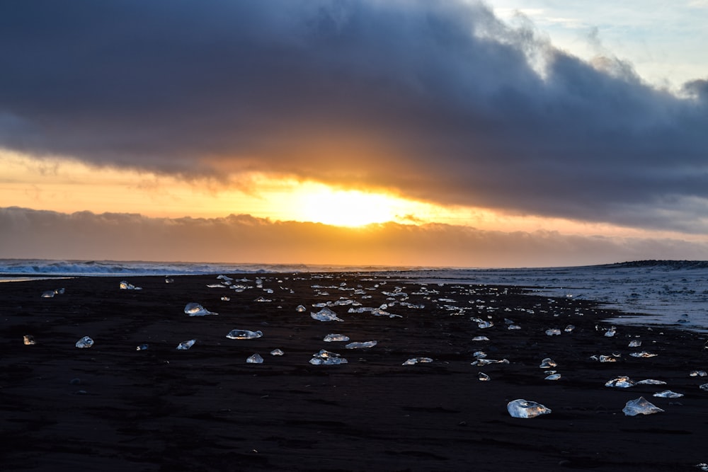 the sun is setting over the ocean with many seagulls on the beach