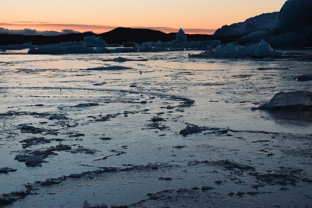 Ein Gewässer mit Eisbergen im Hintergrund