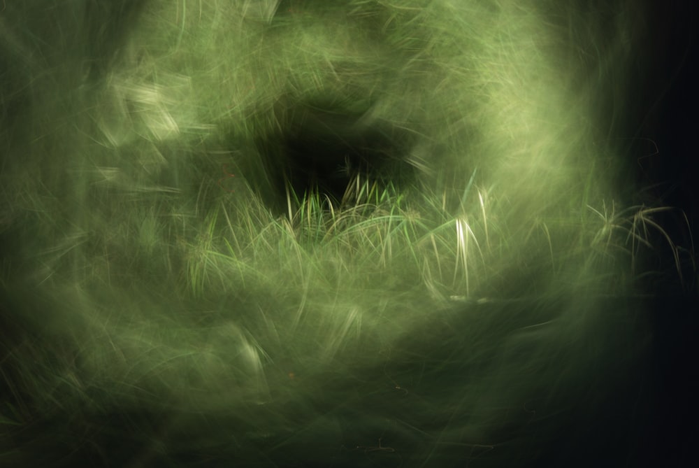 a blurry photo of grass in the dark