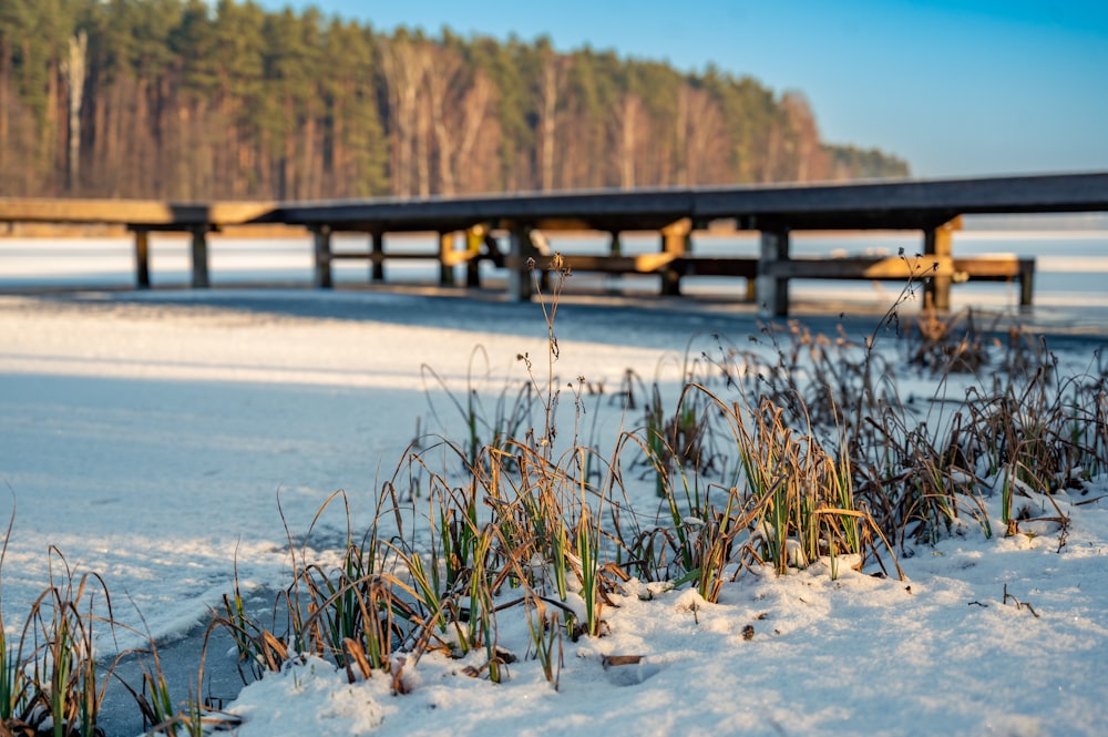 a snow covered field with a bridge in the background