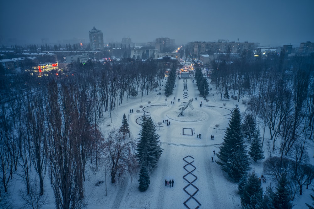 an aerial view of a park in winter
