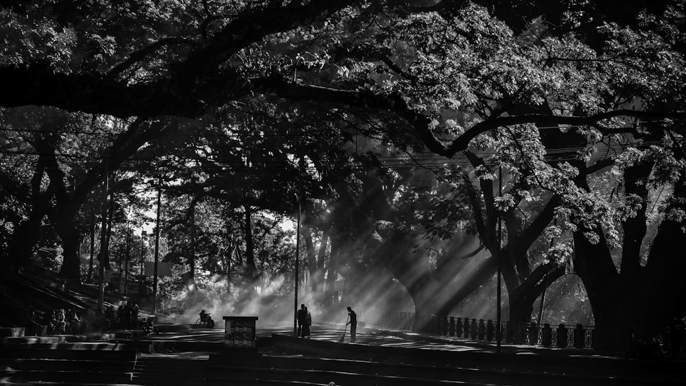 a black and white photo of people walking in a park