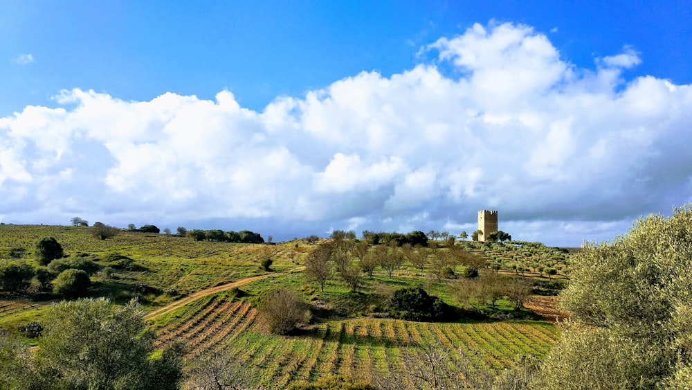 a field with a tower in the distance