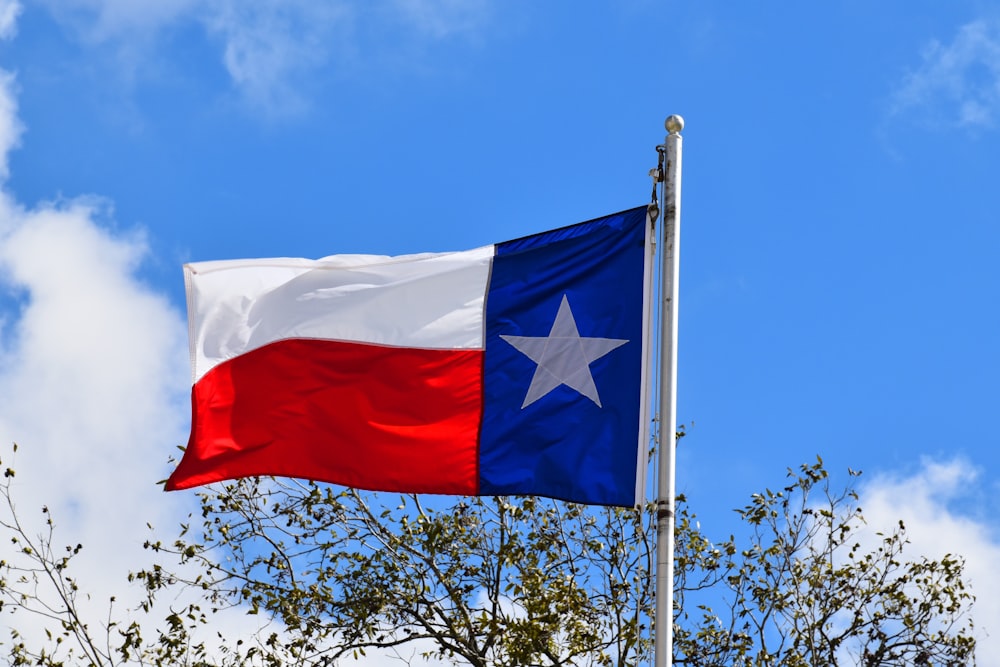風になびくテキサス州旗