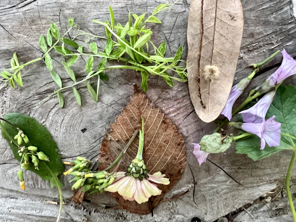 Natural, organic styled arrangement featuring greenery and earthy textures