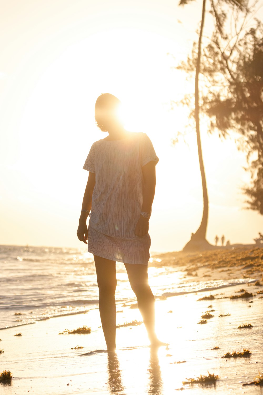 a person walking on a beach at sunset