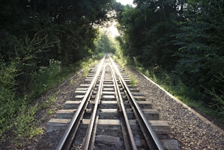 a train track running through a wooded area