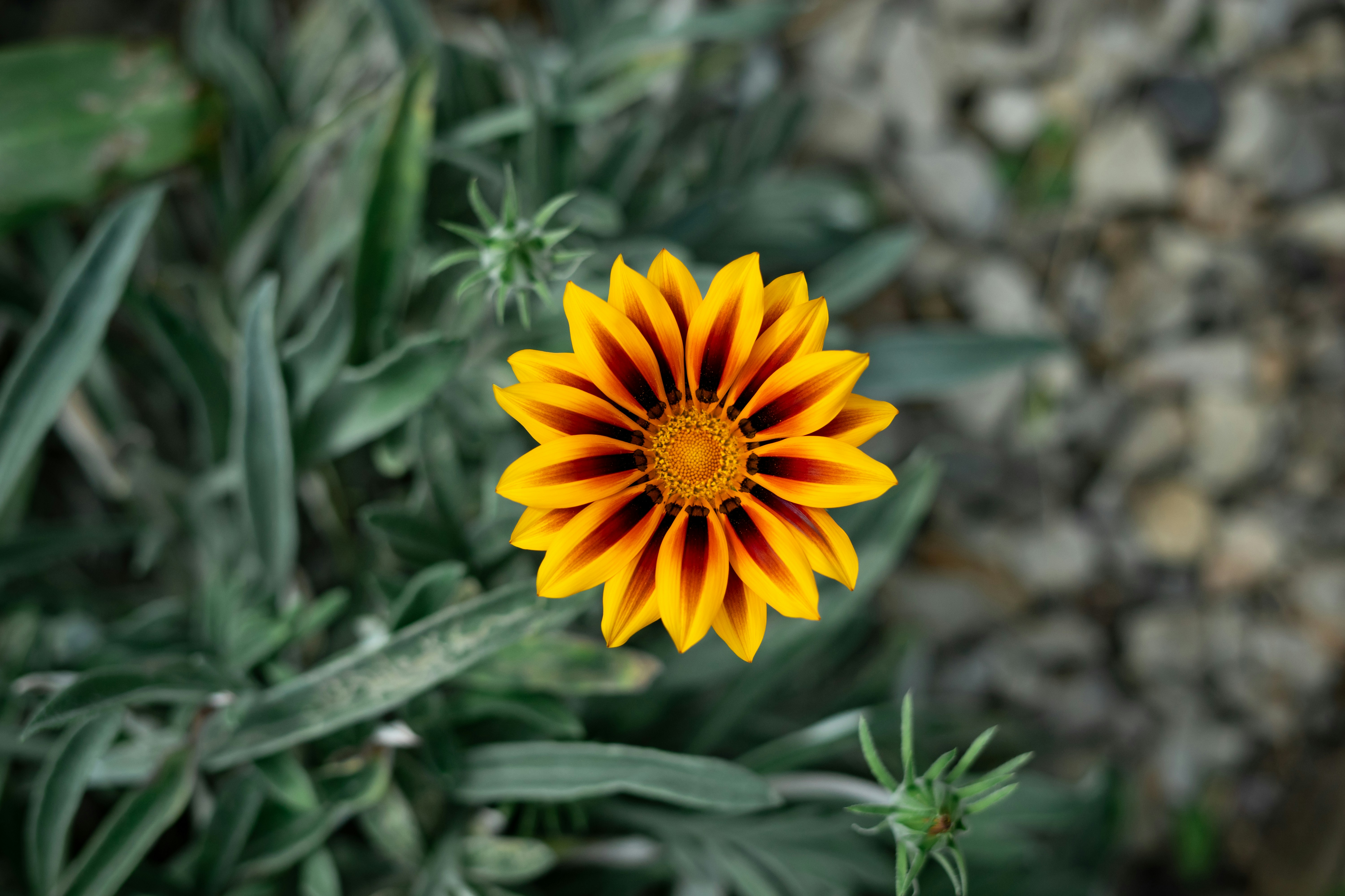 Photo by willwright99