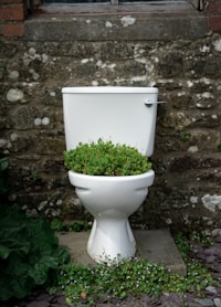 Health toilet tips and habits 
