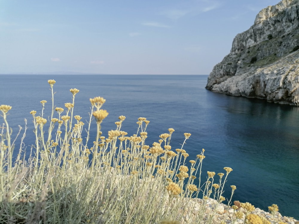 a view of a body of water with a cliff in the background