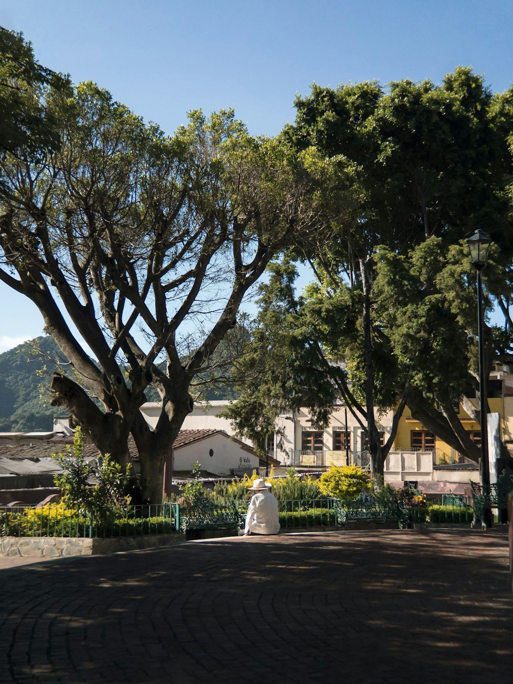 a person sitting on a bench under a tree