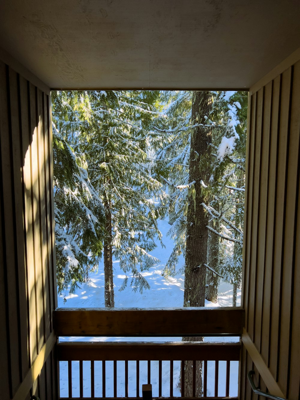 a balcony with a view of a snowy forest