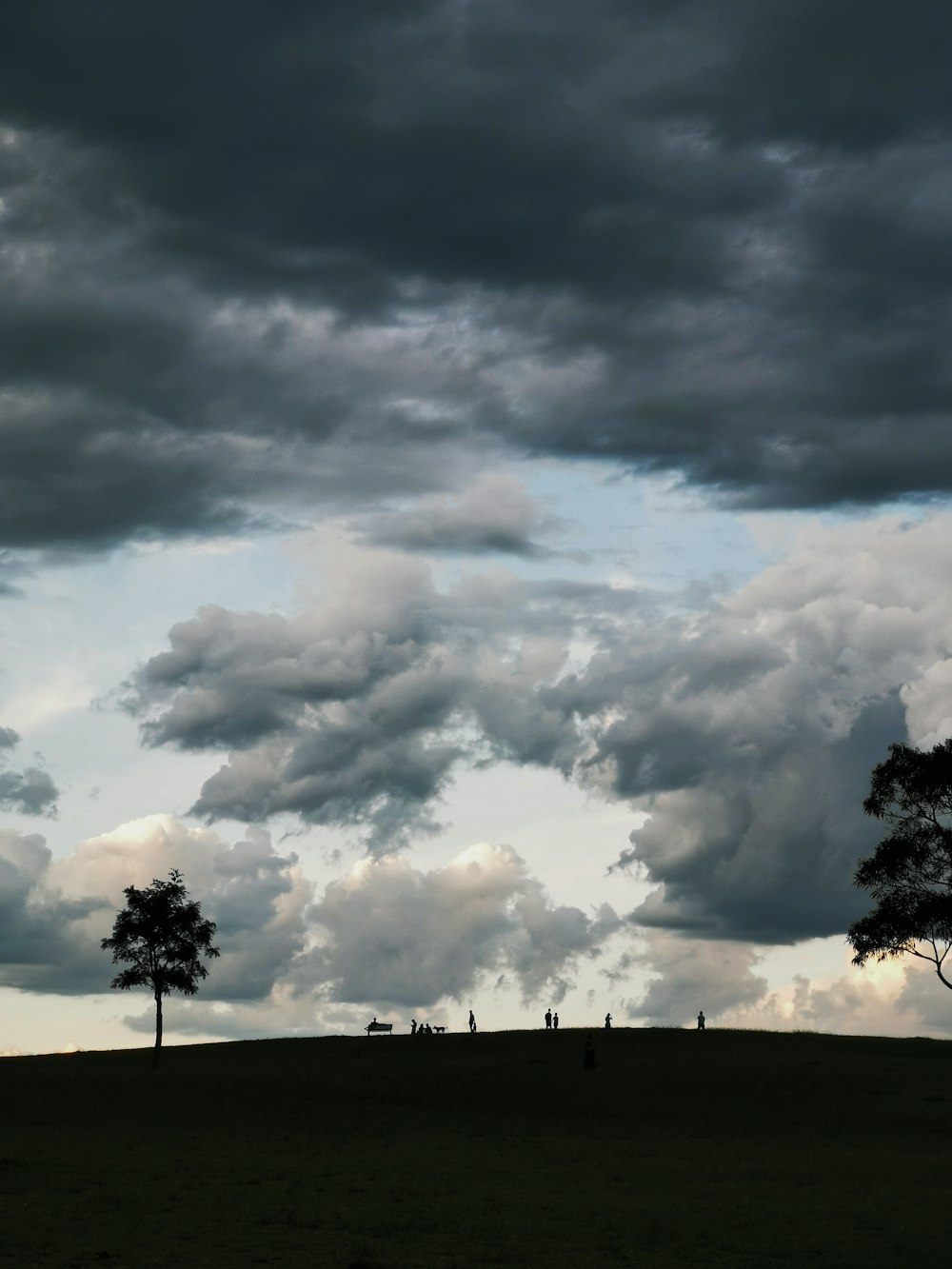 a group of people standing on top of a lush green field under a cloudy sky