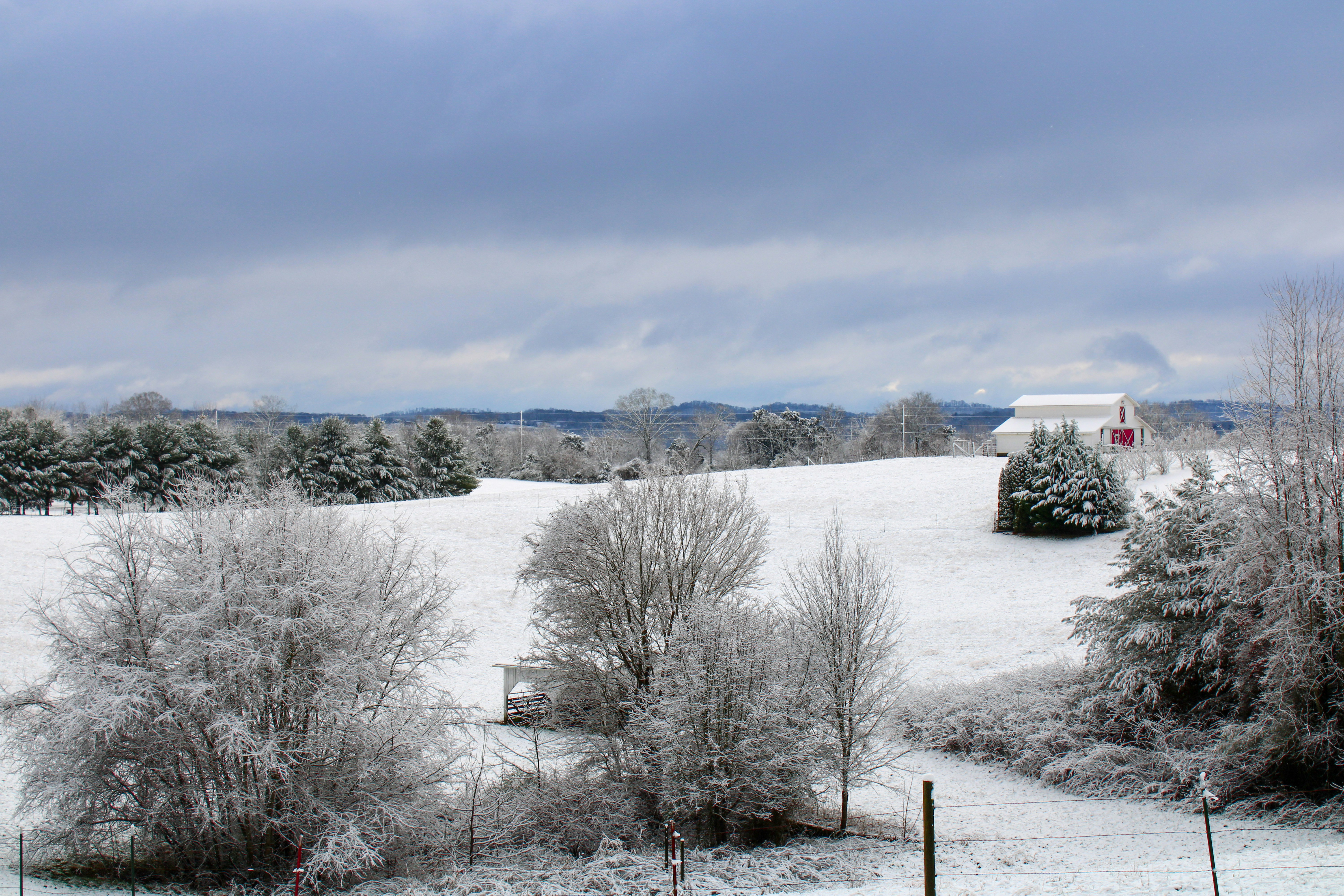 a snowy field with trees and a barn in the distance