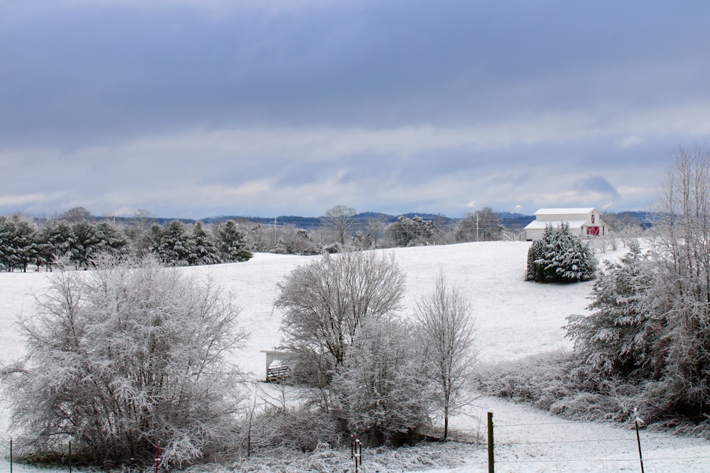 a snowy field with trees and a barn in the distance