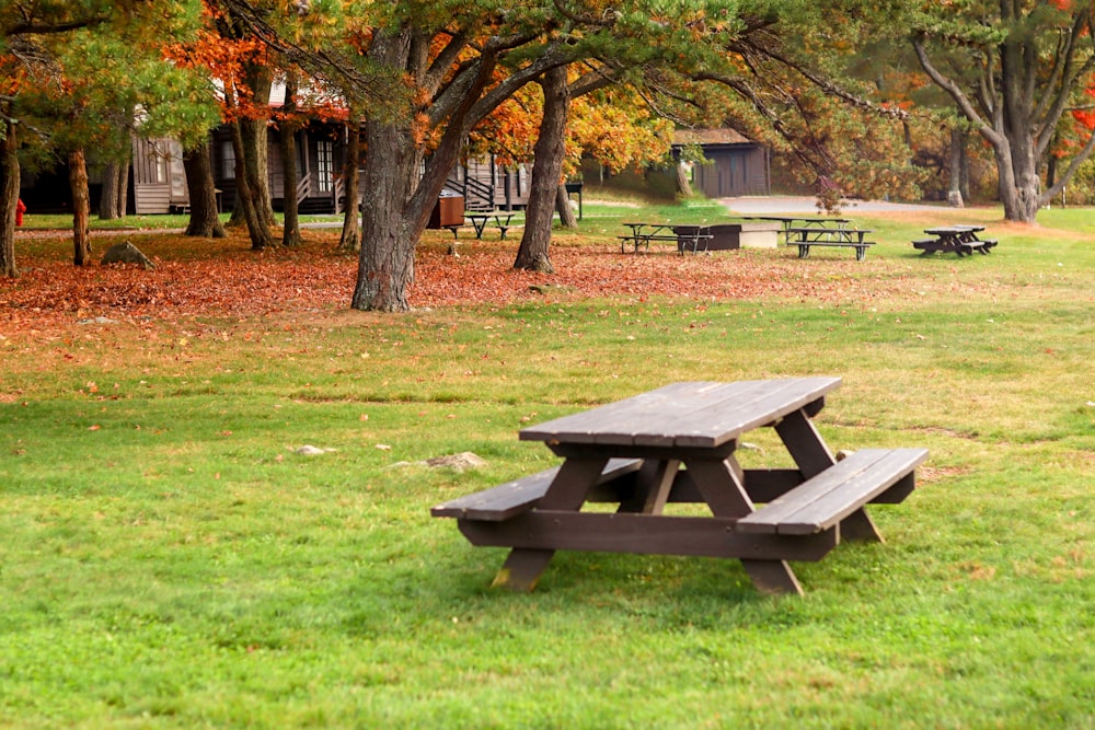 公園の真ん中にあるピクニックテーブル