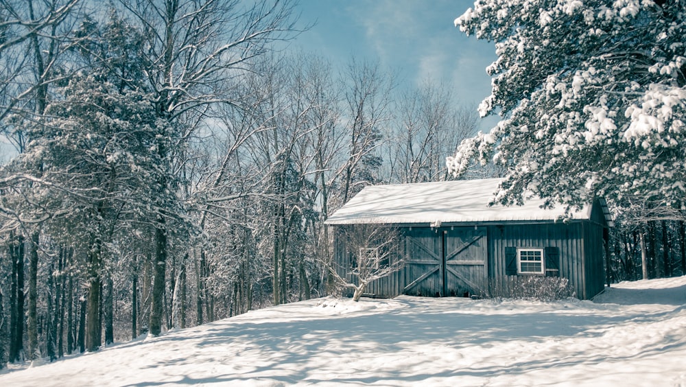 uma pequena cabana no meio de uma floresta nevada