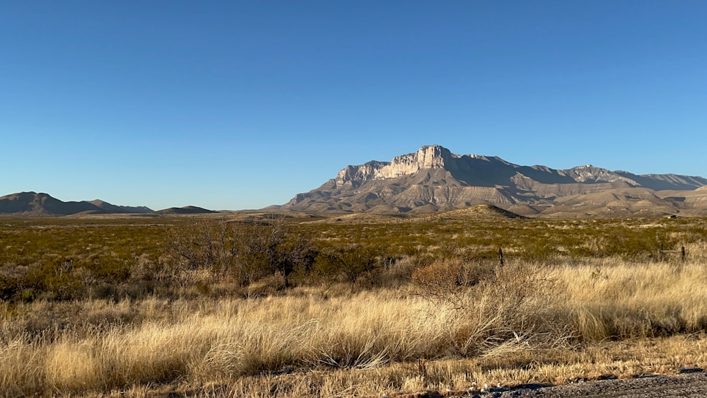 a field with a mountain in the background