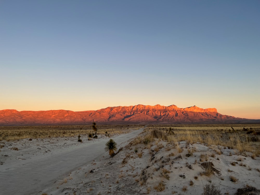 a dirt road with a mountain in the background