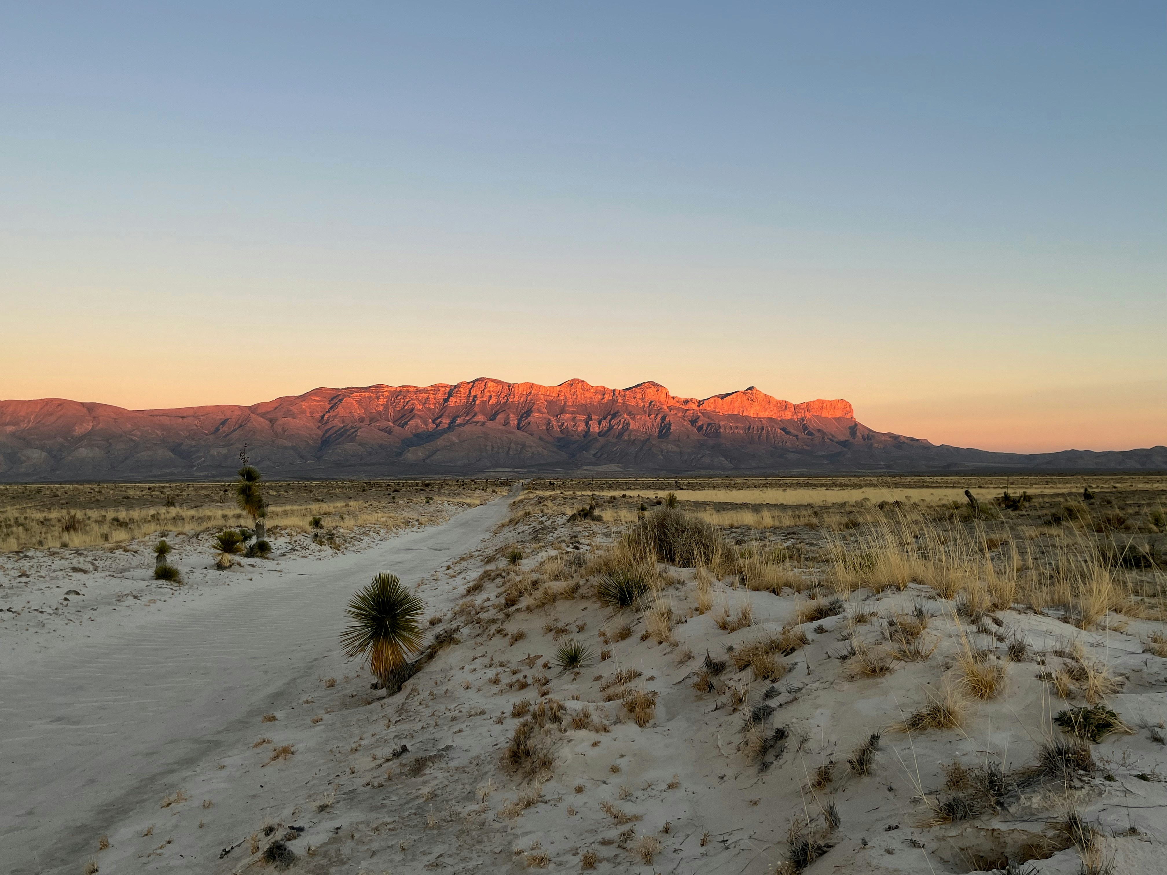 Un camino de tierra con una montaña al fondo