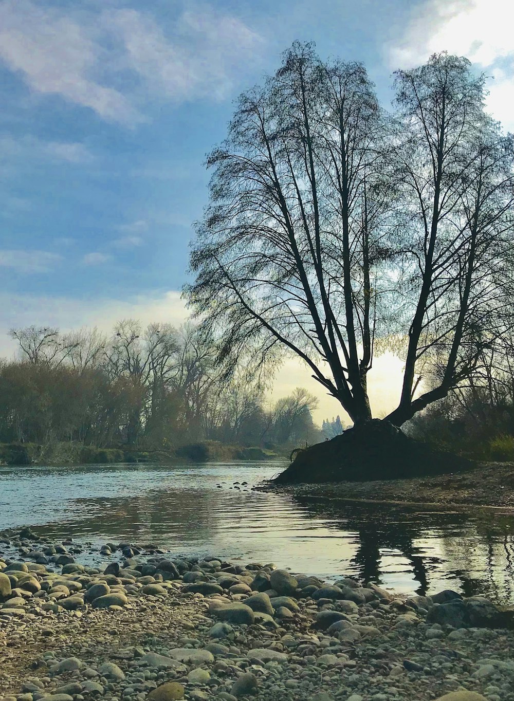 a river with rocks and trees in the background