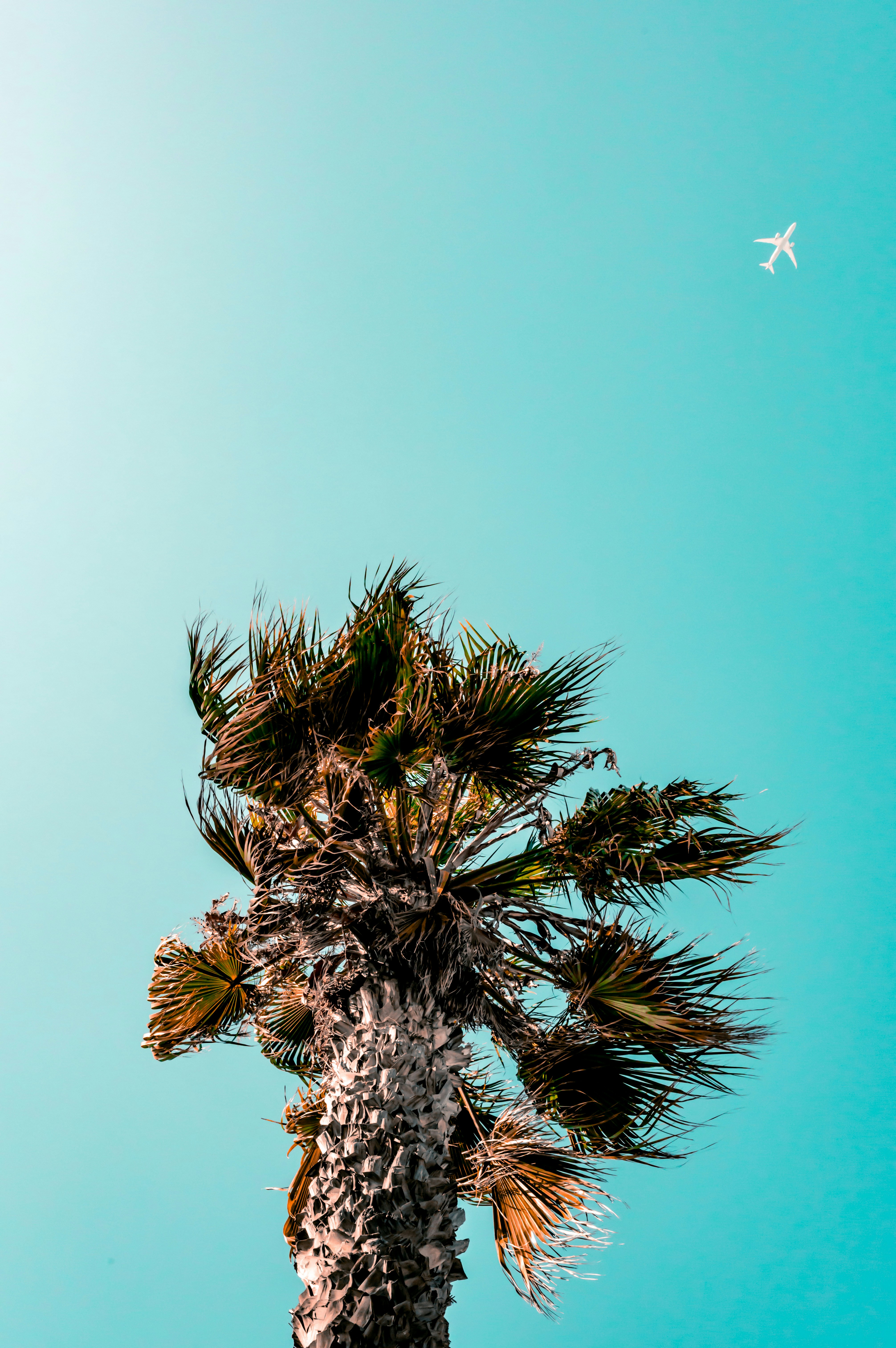 Photo by christopherstark