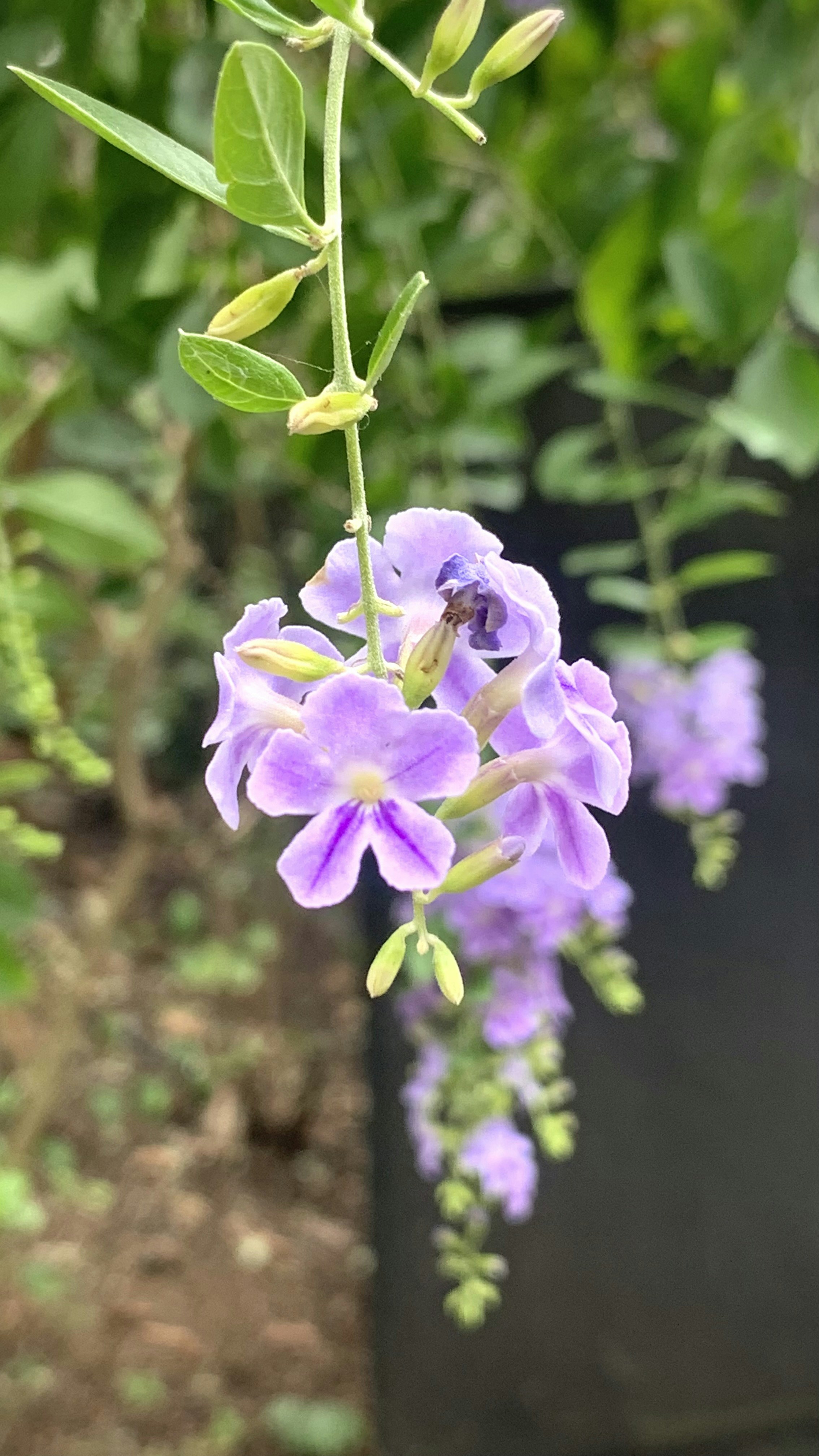 Guayaquil travel photo