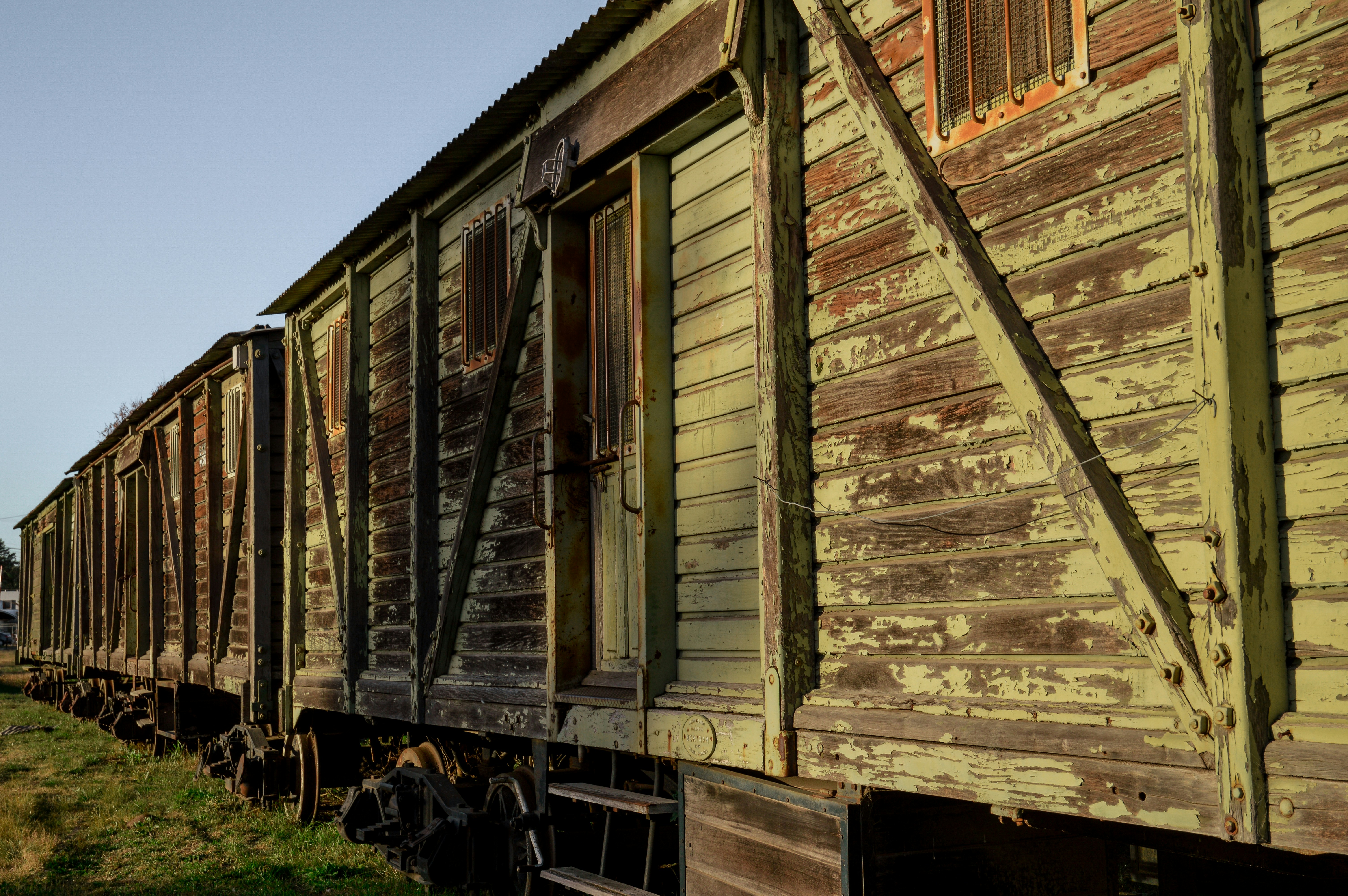 Photo by florenciadalla