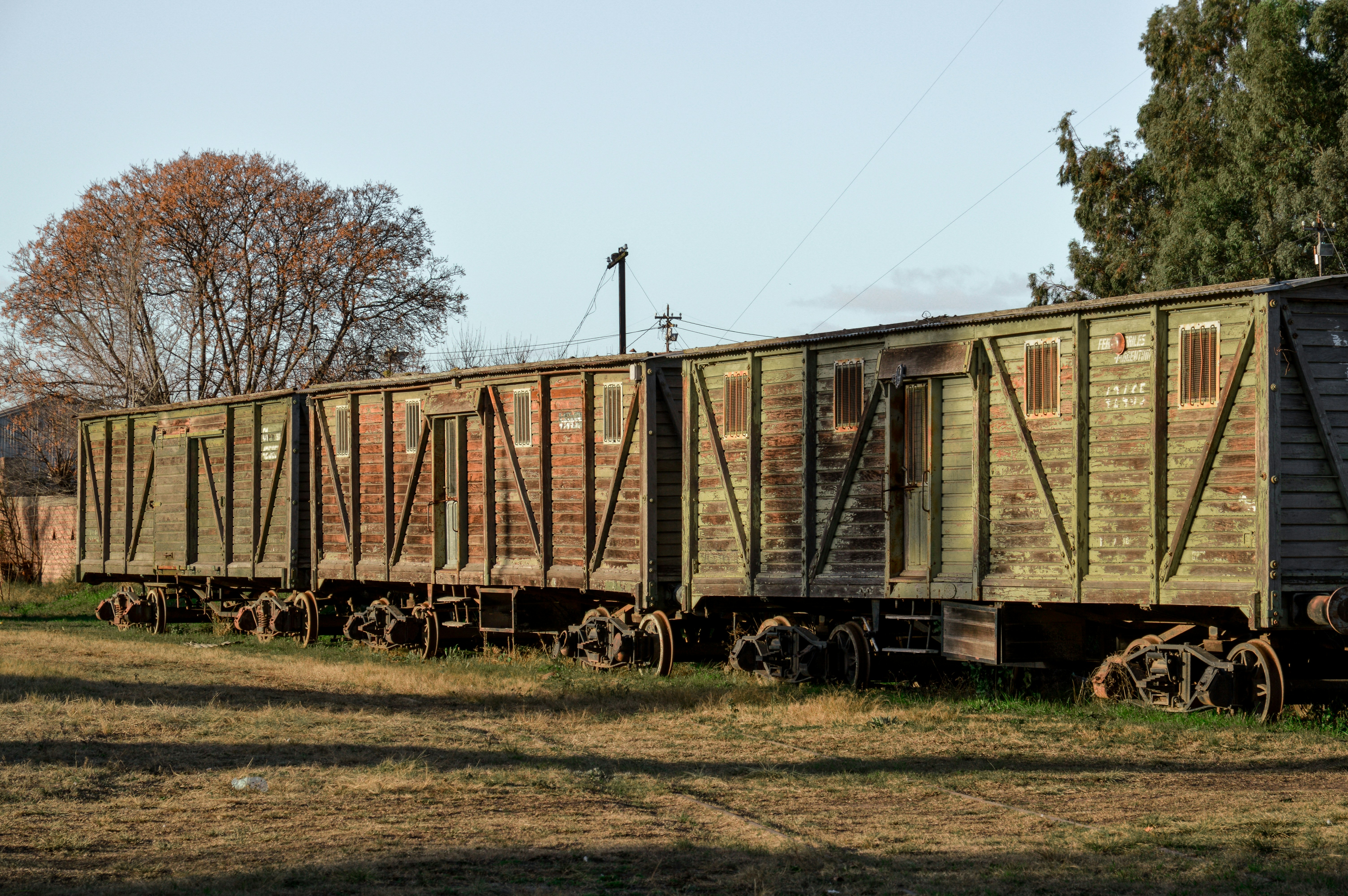 Photo by florenciadalla