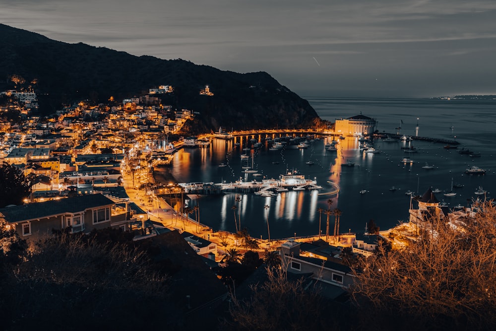 una vista notturna di un porto con barche e un ponte