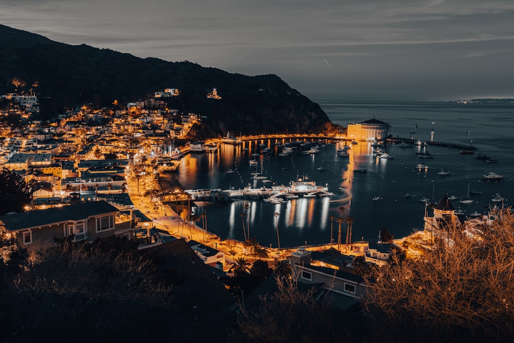 a night view of a harbor with boats and a bridge