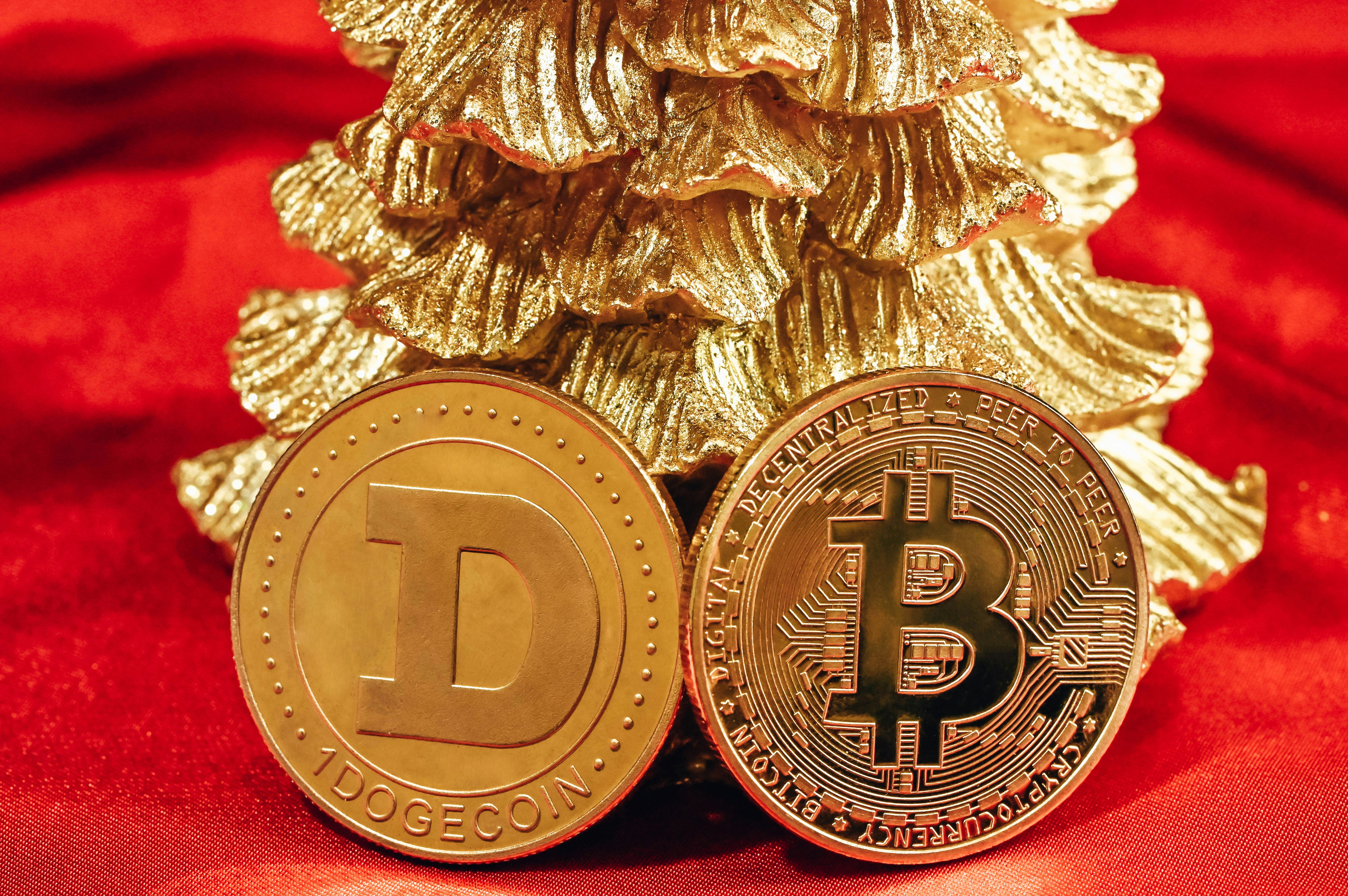 DOGE coin and Bitcoin leaning on a pine tree on red velvet