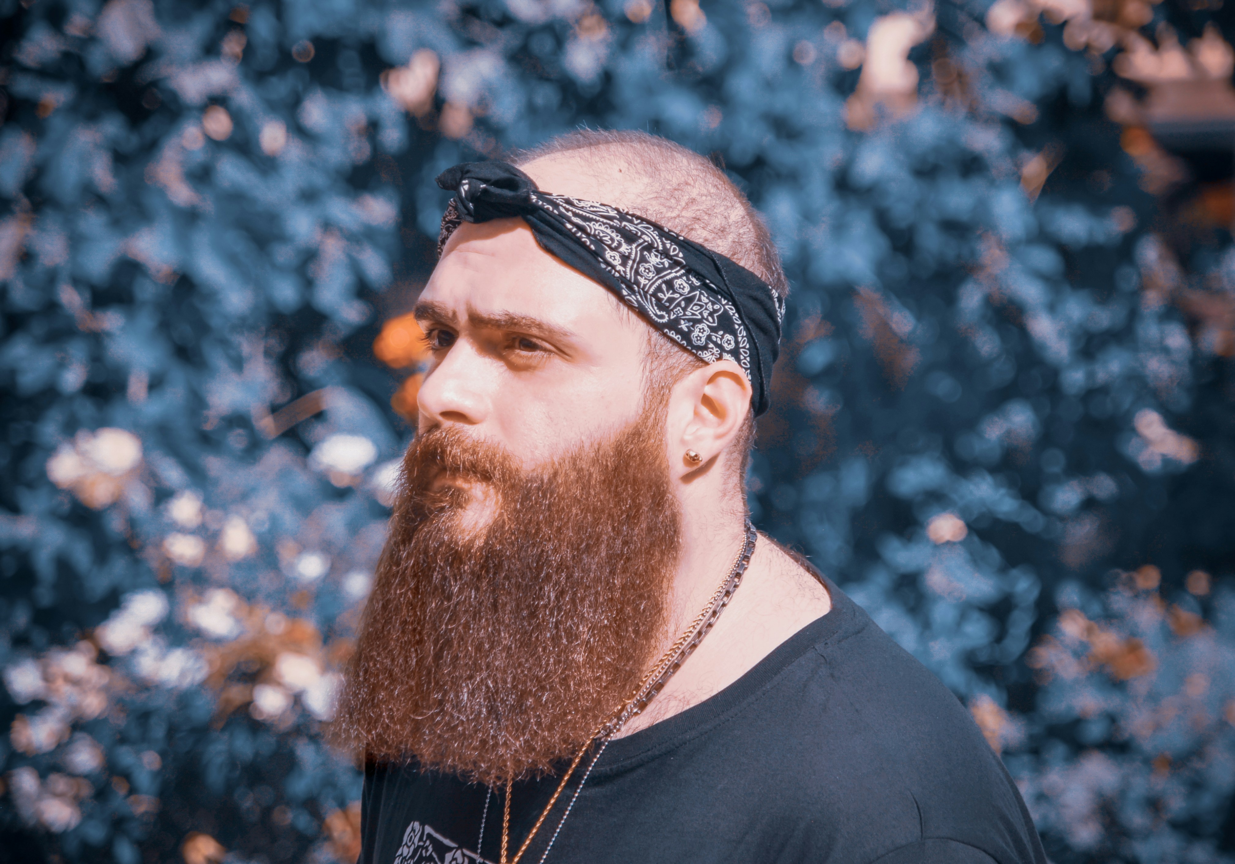 Photo by kouroosh_mohebb