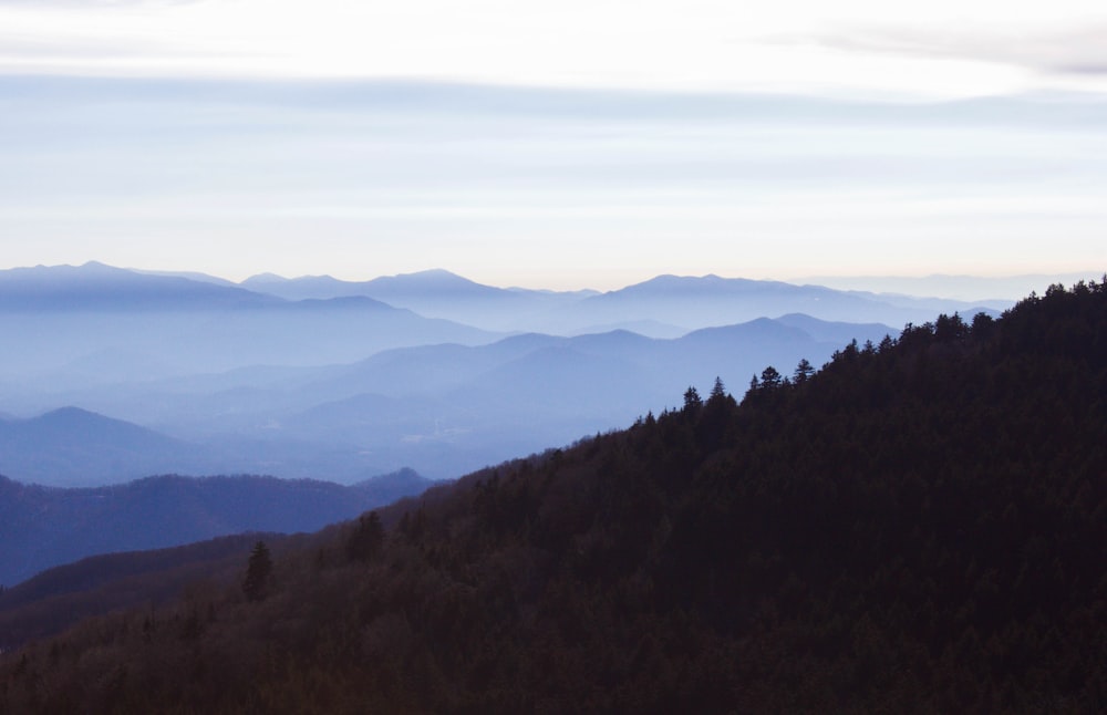 a view of a mountain range with trees in the foreground