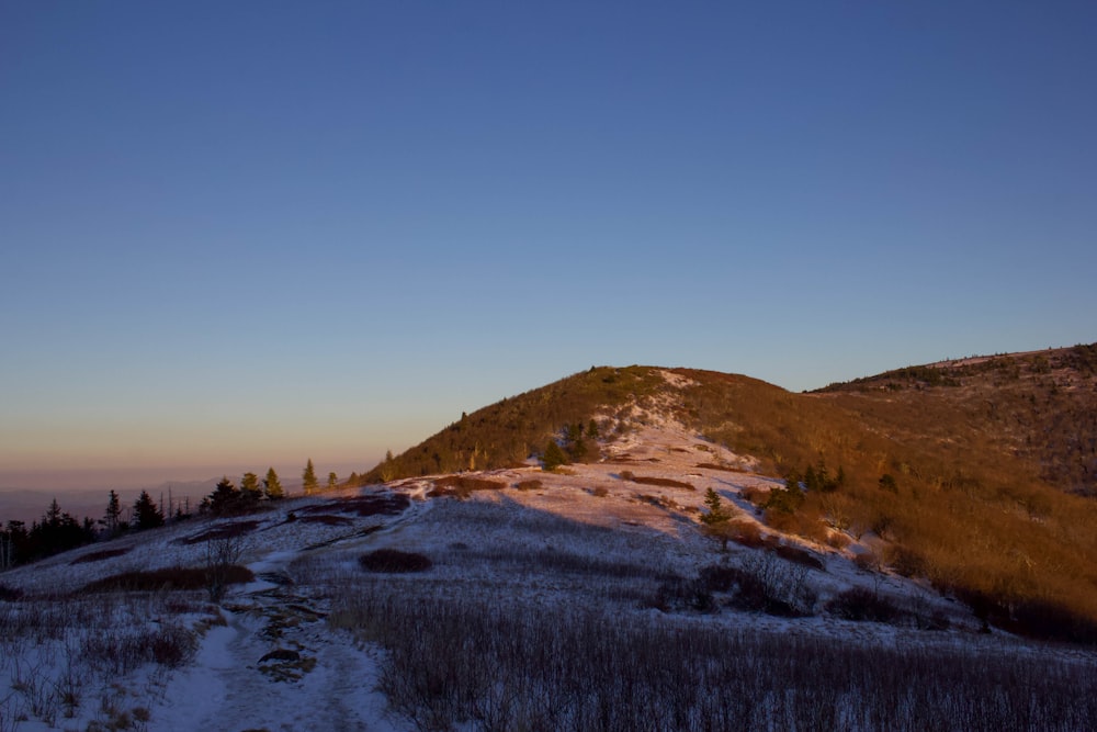 a snow covered hill with trees on top of it