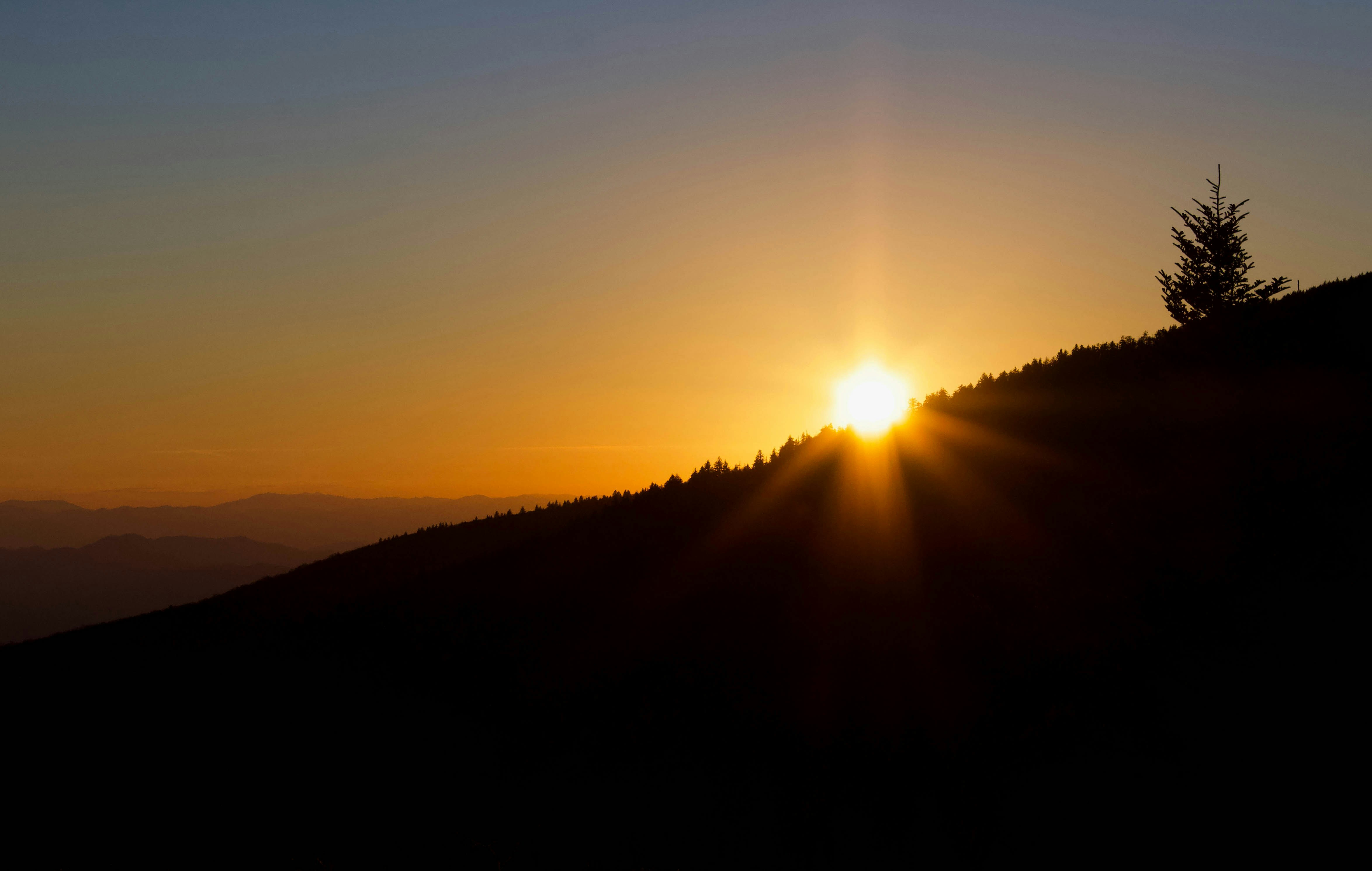 Photo by leslie_outofdoors