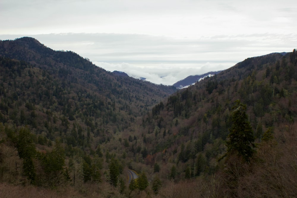 a view of a valley with a road in the middle of it